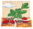 Lagen-Puzzle "Erdbeere"