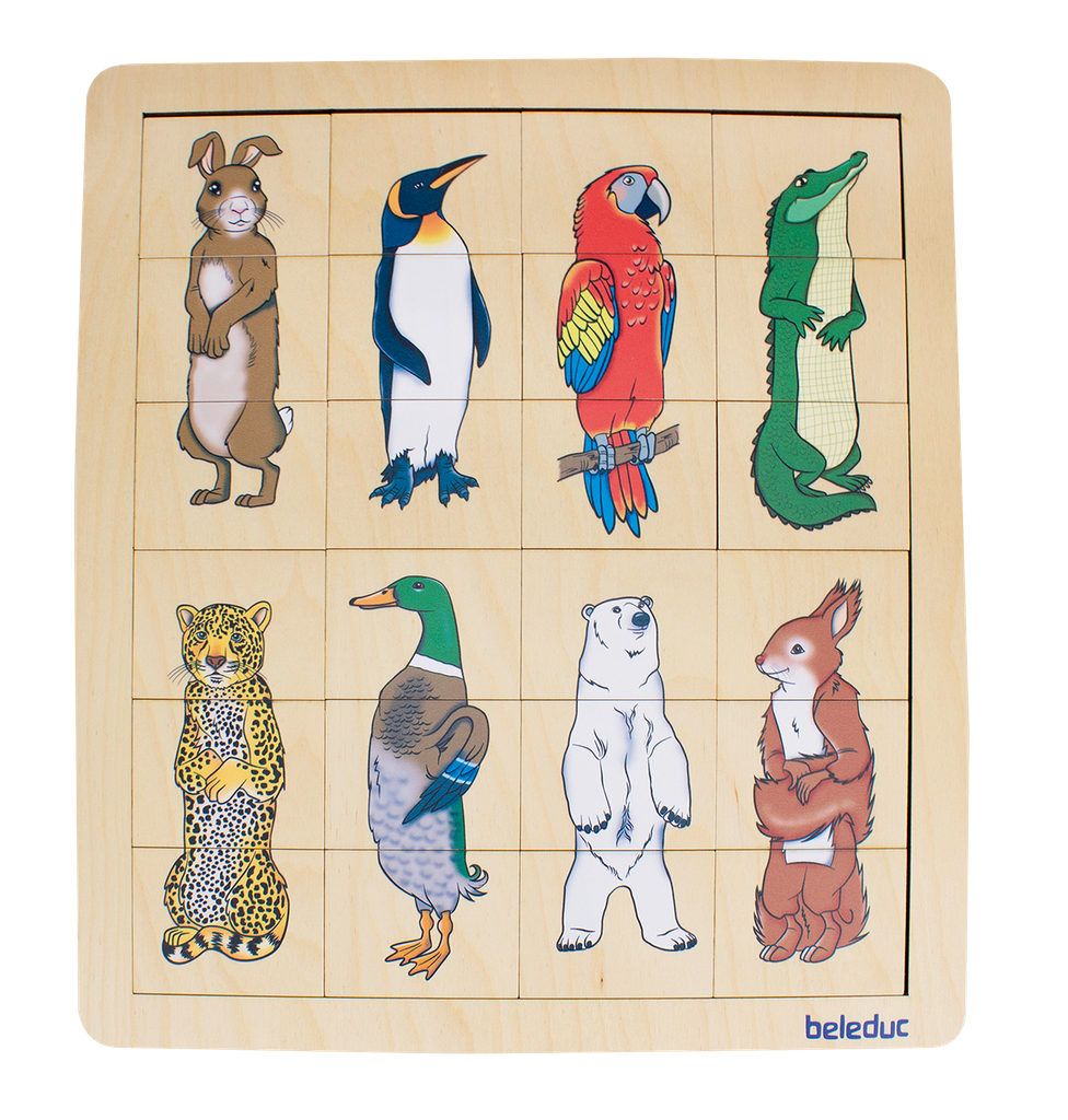 Match & Mix  Animal Kingdom