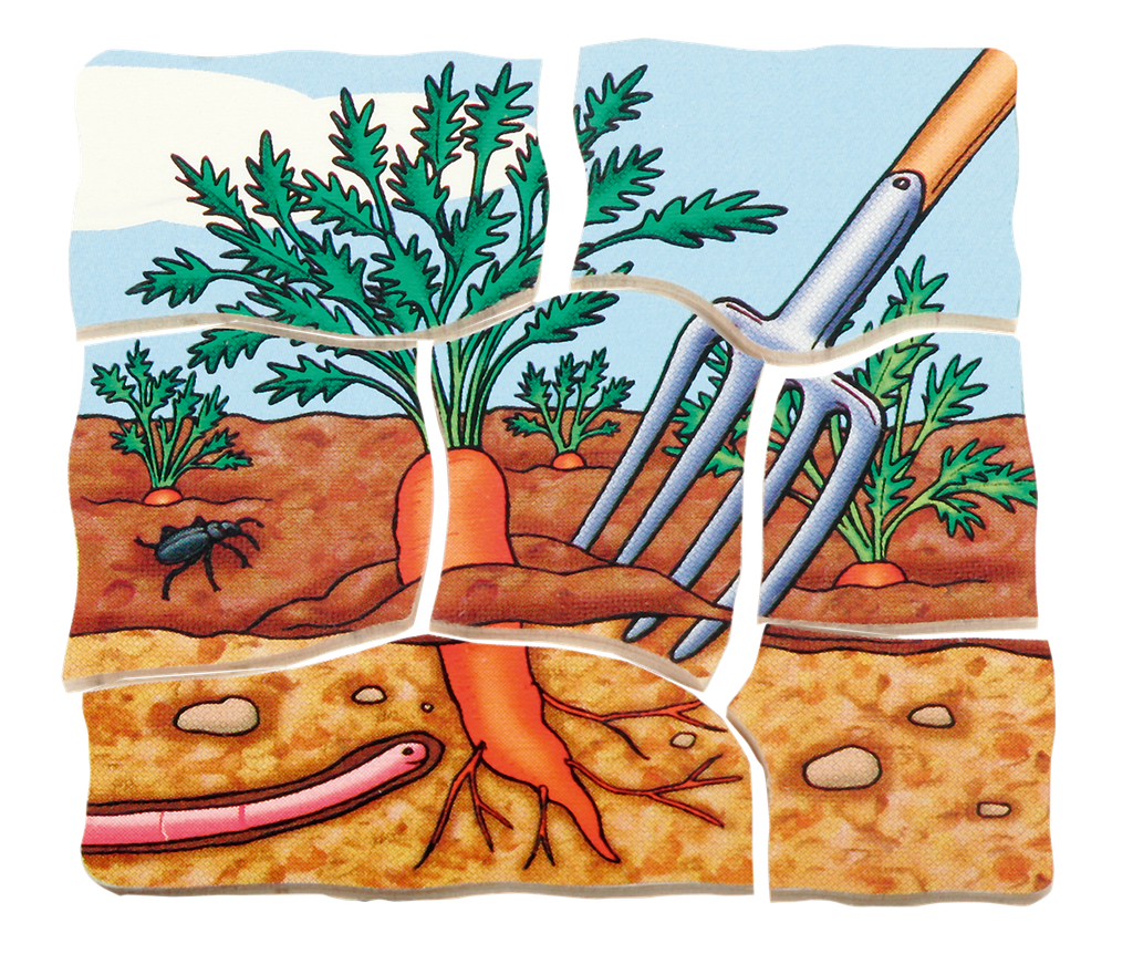 Lagen-Puzzle "Karotte"