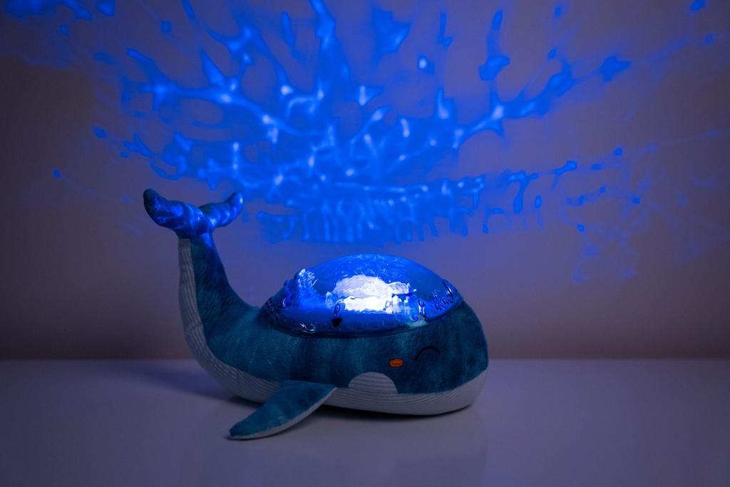 Tranquil Whale™ - Blauwal