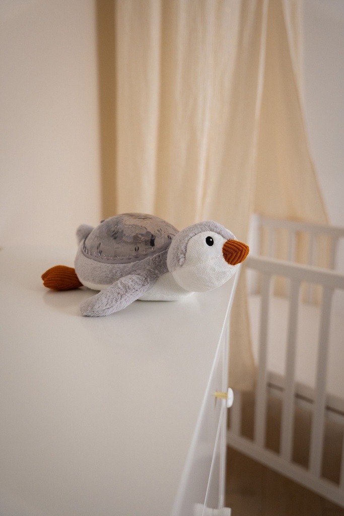 Tranquil Whale™ - Blauwal