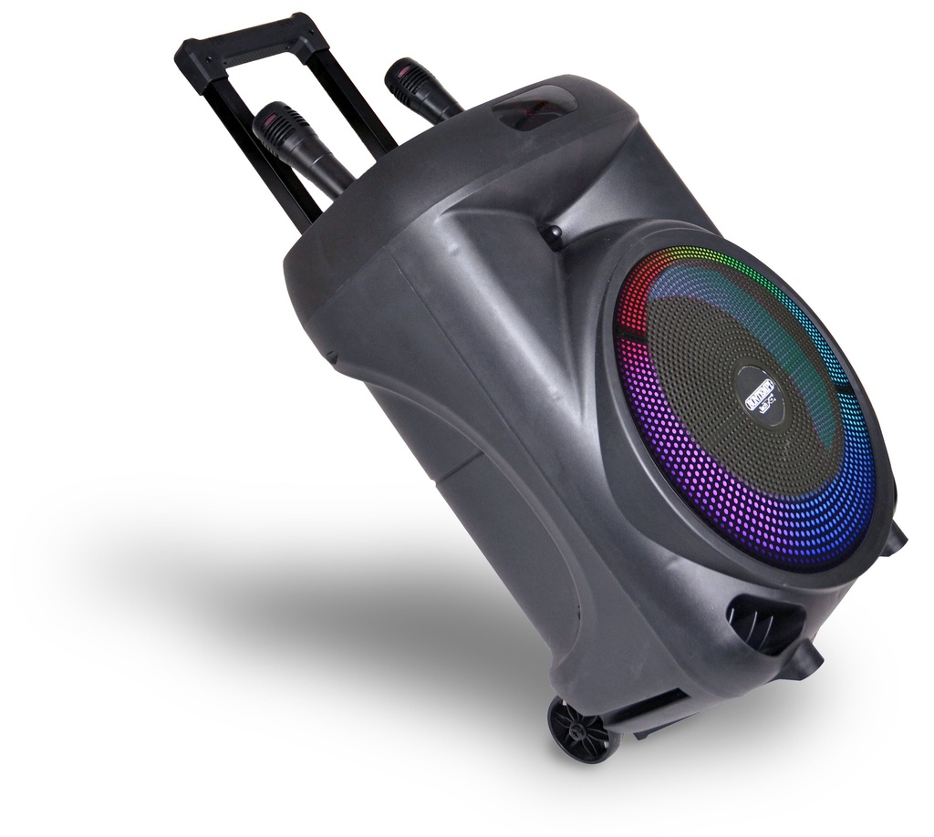 Kabellose Trolley-Lautsprecherbox mit 2 Mikrofonen