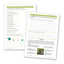 Lernprogramme für die 2. Schulstufe