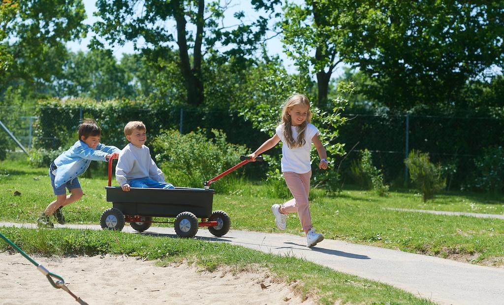VIKING EXPLORER Surfer Boat