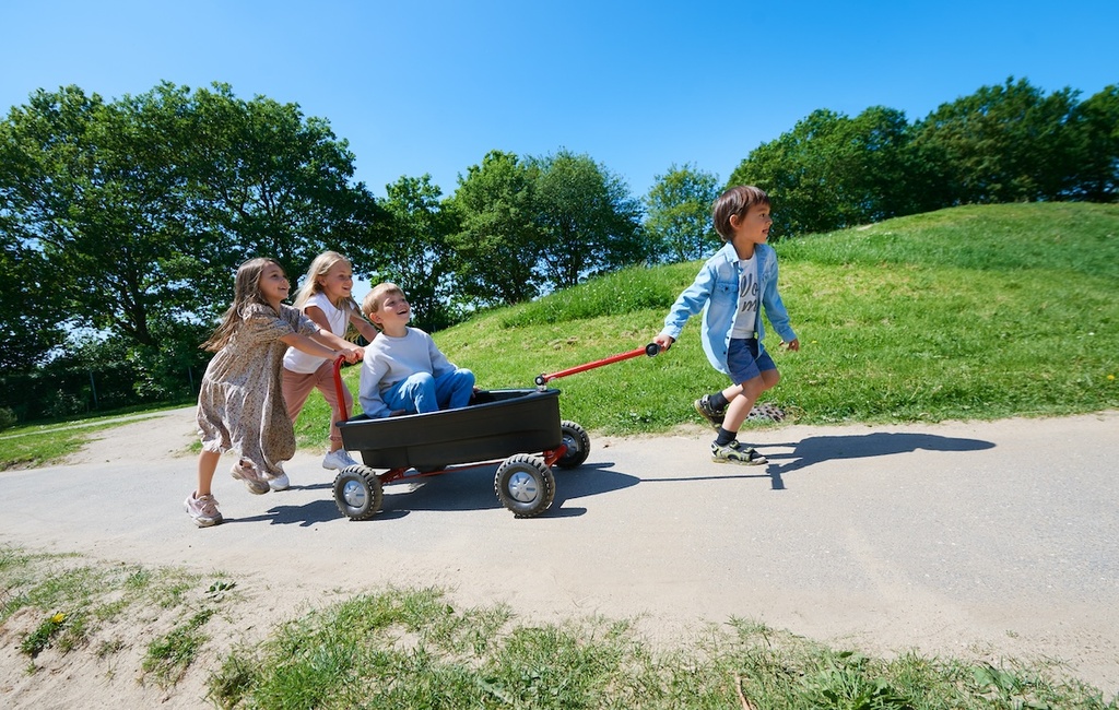 VIKING EXPLORER Surfer Boat