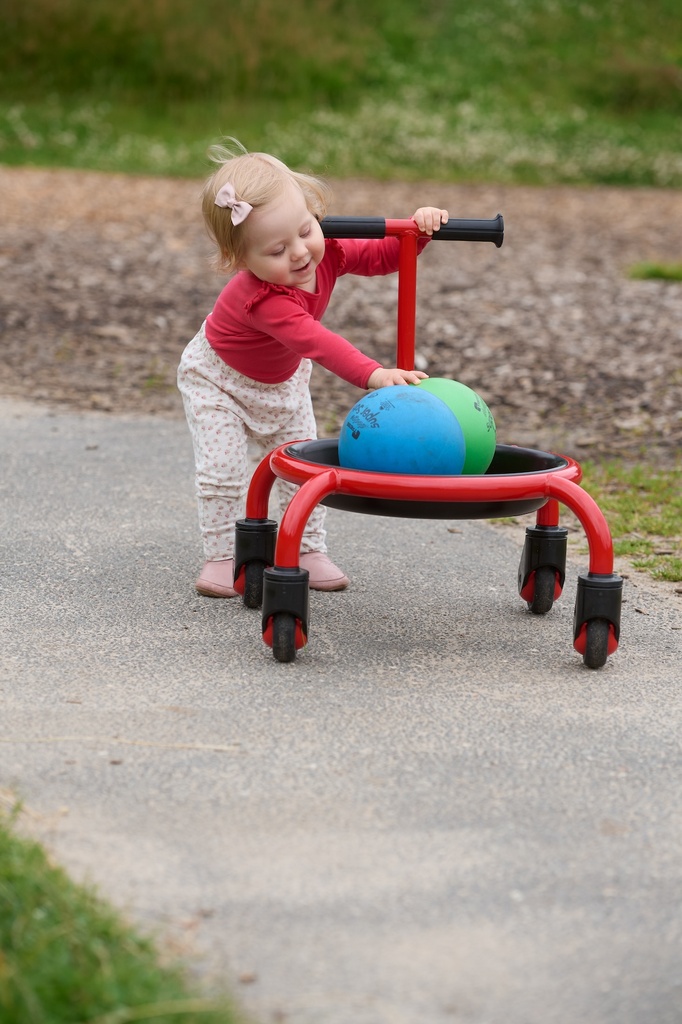 VIKING CHALLENGE Runder Laufwagen