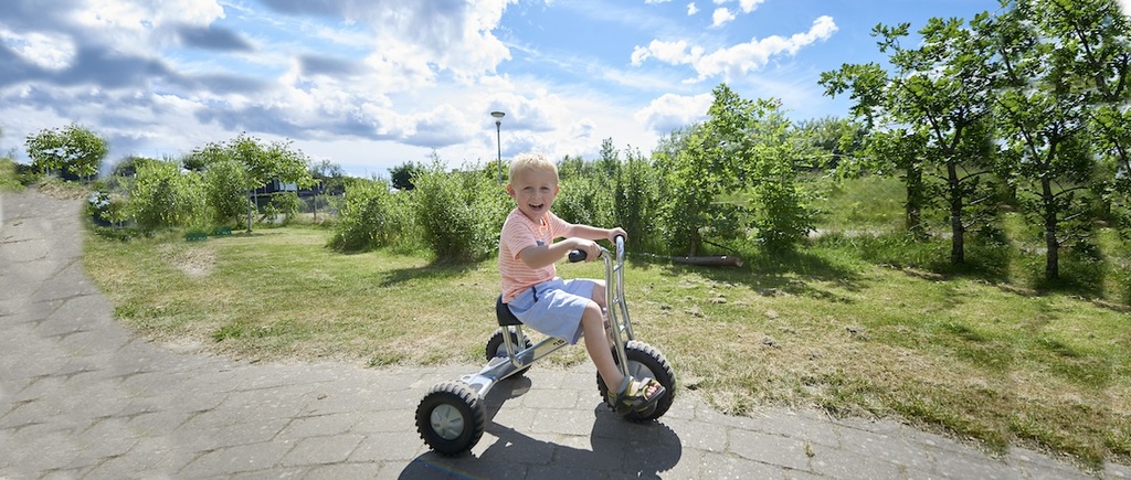Viking Explorer OFF-ROAD Dreirad groß