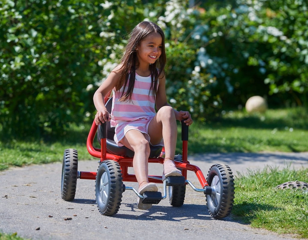 Viking Explorer Fun Cart Large