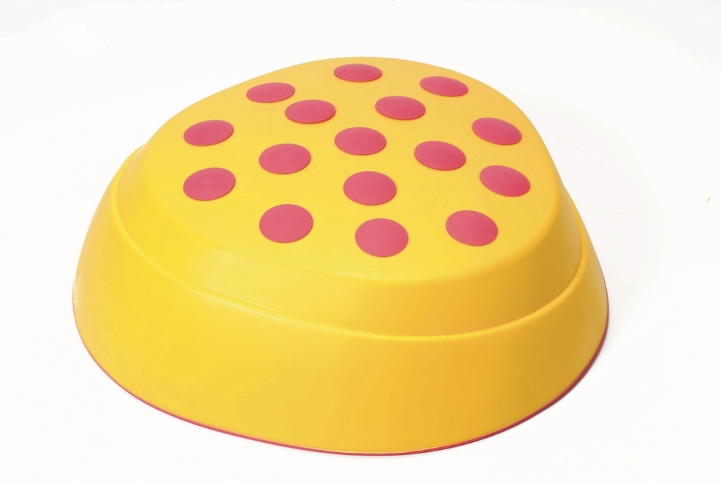 Regenbogen Flußsteine*