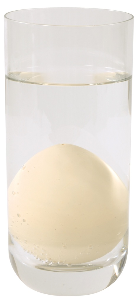 Schlüpfende Dinosaurier