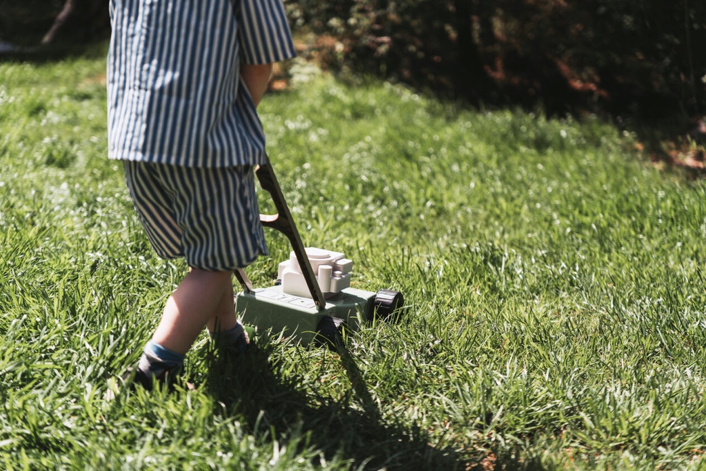 Rasenmäher