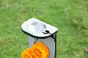 108342_w8.webp