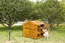 Groß (108349_6).webp