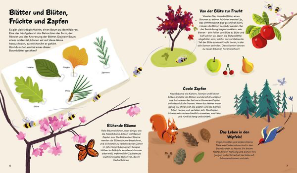 das-kleine-buch-der-baeume-gebundene-ausgabe-claire-philip-3.webp