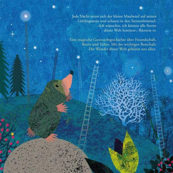 der-maulwurf-und-die-sterne-gebundene-ausgabe-britta-teckentrup.webp
