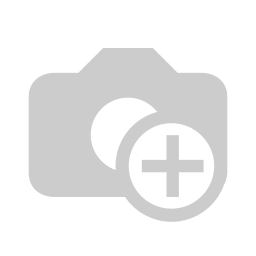 Die Schule der magischen Tiere Neuausgabe 16: Land unter!