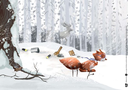 egon-eichhorn-und-der-wilde-muell-im-wald-kamishibai-bildkartenset-set-mit-diversen-artikeln-alina-gries-2.webp