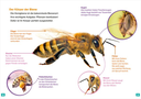 was-ist-was-erstes-lesen-bienen-gebundene-ausgabe-christina-braun.webp