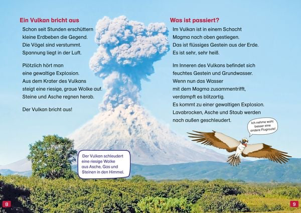 was-ist-was-erstes-lesen-vulkane-gebundene-ausgabe-christina-braun.webp