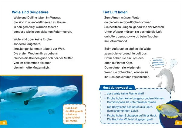 was-ist-was-erstes-lesen-band-1-wale-und-delfine-gebundene-ausgabe-christina-braun.jpeg-3.webp