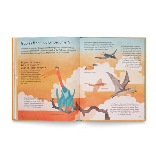 frag-mich-was-ueber-dinosaurier-gebundene-ausgabe-nate-rae-4.webp