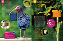geniale-tiere-und-ihre-tricks-gebundene-ausgabe-andrea-weller-essers-14.webp