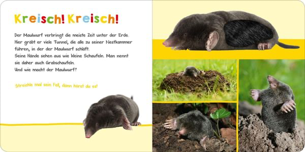 hoer-mal-rein-wer-kann-das-sein-im-garten-gebundene-ausgabe.webp
