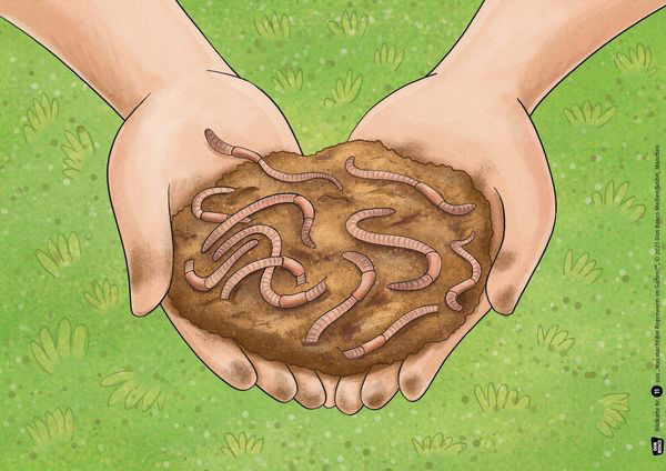 was-macht-der-regenwurm-im-garten-kamishibai-bildkartenset-box-lydia-hauenschild-3.webp