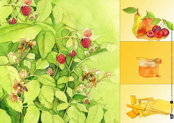 wie-wir-schmetterling-und-biene-in-unseren-garten-locken-kamishibai-bildkartenset-set-mit-diversen-artikeln-lydia-hauenschild-2.webp