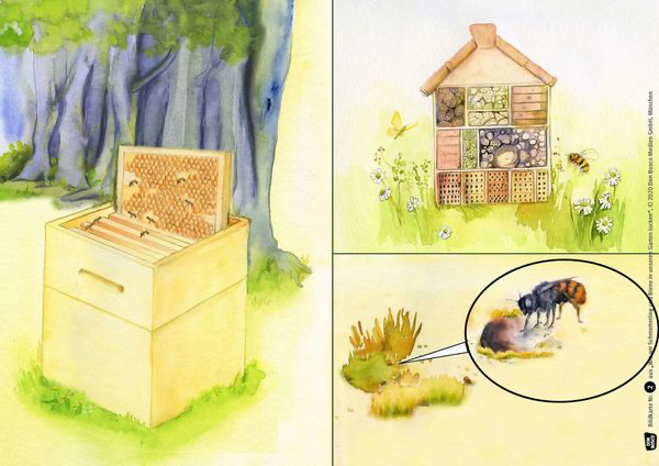 wie-wir-schmetterling-und-biene-in-unseren-garten-locken-kamishibai-bildkartenset-set-mit-diversen-artikeln-lydia-hauenschild.webp