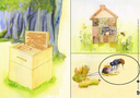 wie-wir-schmetterling-und-biene-in-unseren-garten-locken-kamishibai-bildkartenset-set-mit-diversen-artikeln-lydia-hauenschild.webp