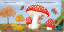 kuckuck-kleines-eichhoernchen-gebundene-ausgabe-2.webp