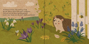 meine-gartenfreunde-der-kleine-igel-gebundene-ausgabe-carla-haefner-2.webp