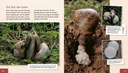 meine-grosse-tierbibliothek-die-schnecke-gebundene-ausgabe-paul-starosta.webp