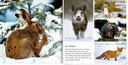 meine-liebsten-tiere-im-wald-gebundene-ausgabe-2.webp