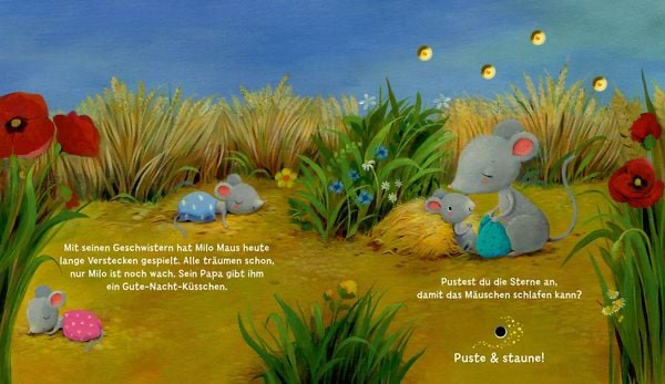 mein-puste-licht-buch-wenn-im-dunkeln-sterne-funkeln-gebundene-ausgabe-christina-noemer.webp