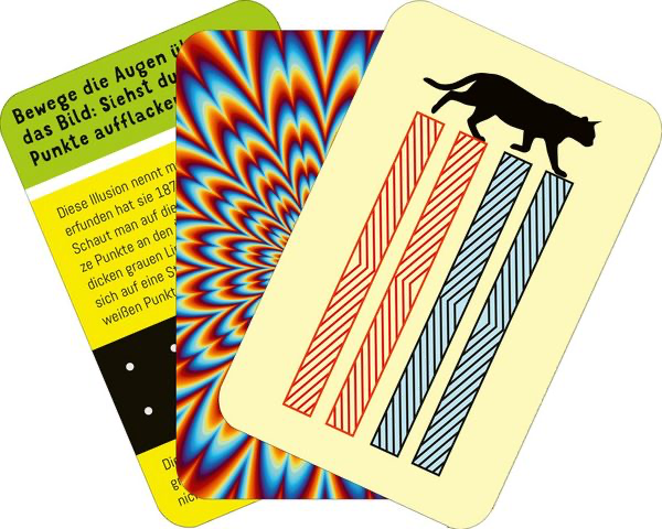 science-kids-optische-taeuschungen-gebundene-ausgabe-4.webp
