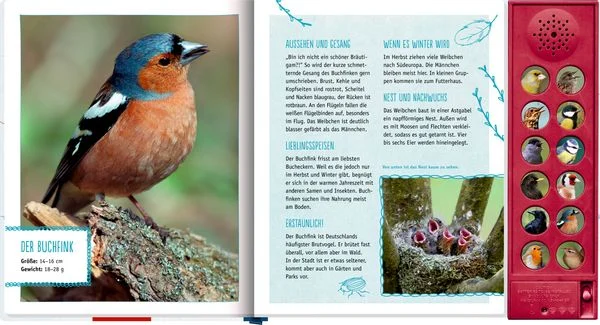 voegel-in-unserem-garten-gebundene-ausgabe-holger-haag.jpeg-3.webp