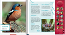 voegel-in-unserem-garten-gebundene-ausgabe-holger-haag.jpeg-3.webp