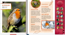 voegel-in-unserem-garten-gebundene-ausgabe-holger-haag.jpeg-2.webp