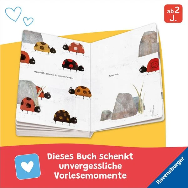 vom-glueck-besonders-zu-sein-gebundene-ausgabe-bas-kleinhout.jpeg-3.webp