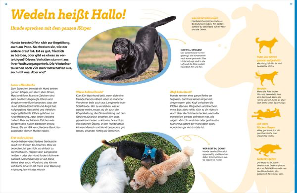 was-ist-was-hunde-auf-die-pfoten-fertig-los-gebundene-ausgabe-christine-paxmann-2.webp