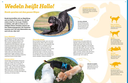 was-ist-was-hunde-auf-die-pfoten-fertig-los-gebundene-ausgabe-christine-paxmann-2.webp
