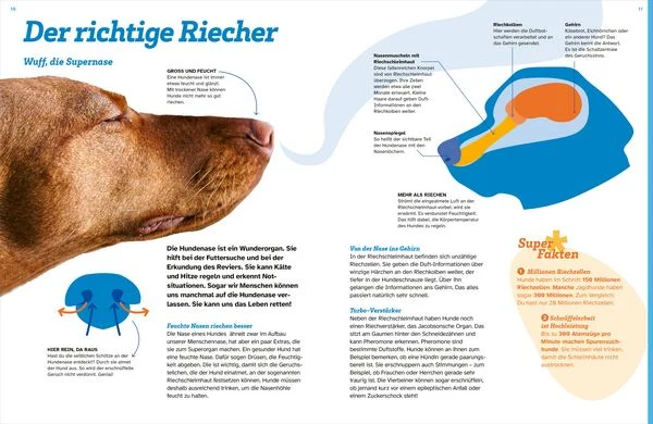 was-ist-was-hunde-auf-die-pfoten-fertig-los-gebundene-ausgabe-christine-paxmann.jpeg-2.webp