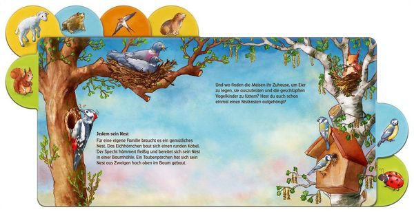 was-machen-die-tiere-im-fruehling-gebundene-ausgabe-anna-karina-birkenstock-5.webp