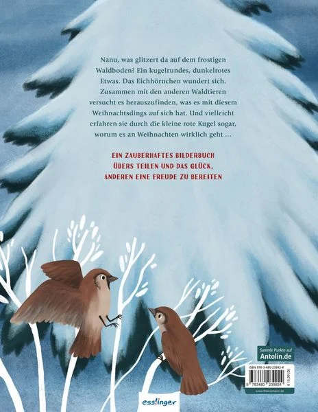 wem-gehoert-das-weihnachtsdings-gebundene-ausgabe-madlen-ottenschlaeger.jpeg.webp