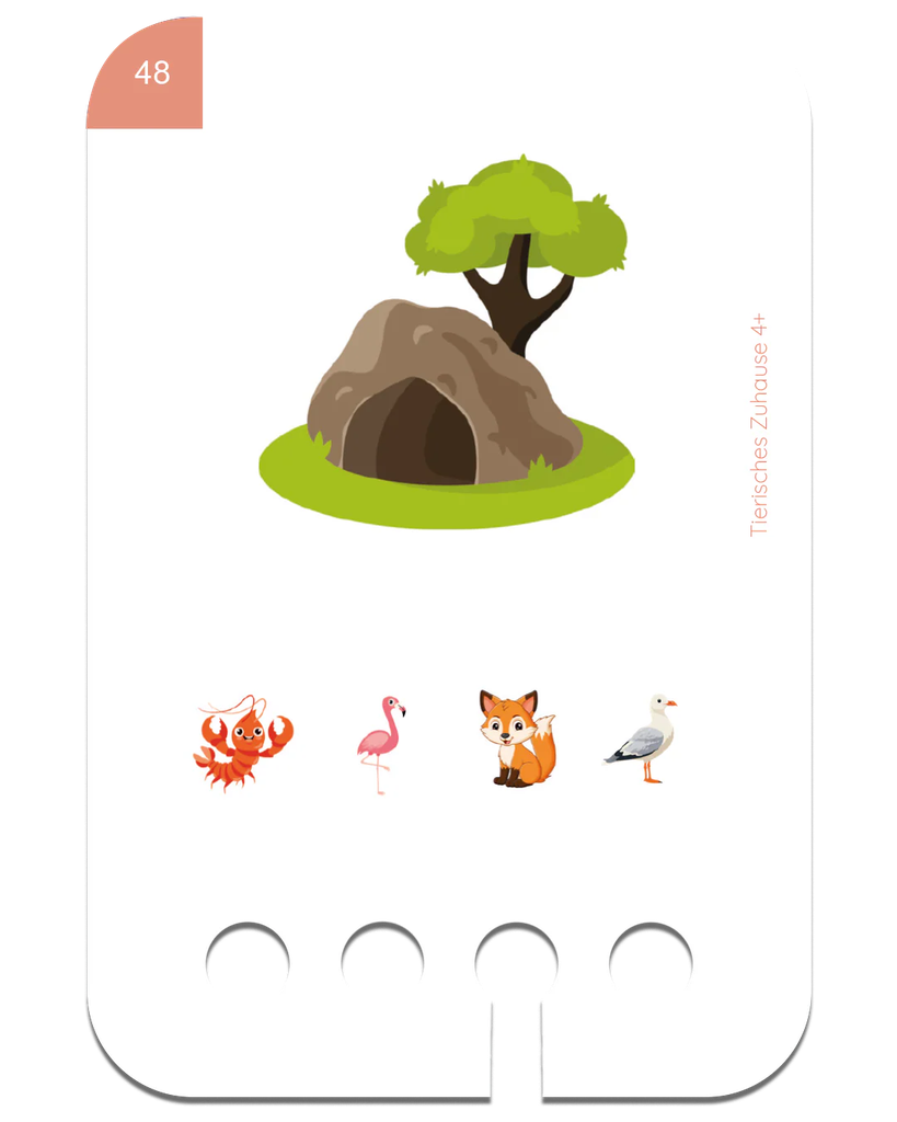 2_30ea6f11-9551-4a37-aba3-b8022f4616c3.png.webp