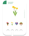 2_54949b25-e484-4e04-8c20-ccfea088010f.png.webp