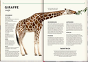 unsichtbar-gebundene-ausgabe-holger-haag-5.webp