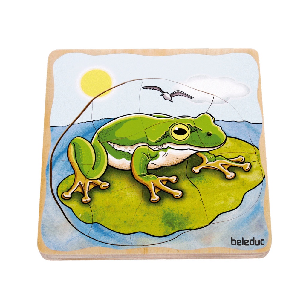 Lagenpuzzle "Frosch"